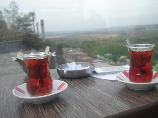 Diyarbakır Hevsel ve Çay / 764