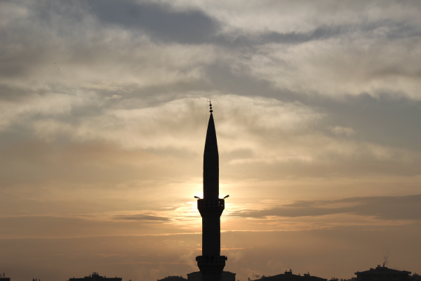 Diyarbakır ve Minare / 3816