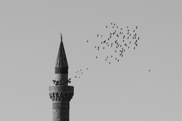 Minare ve Kuşlar / 6839