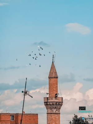 Minare ve Kuşlar 📷 10X Optik Zoomda 📷🔭 / 21243