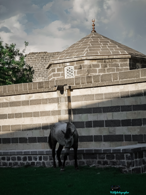 Nasuh Paşa Camii yanında bir At 📷 3X Optik Zoomda Perspektif / 21959
