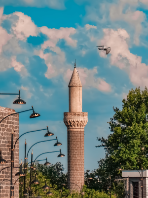 Nasuh Paşa Camii Minaresi ve 10X Optik Zoomda Kuşun Uçuş Anının Focuslanması 📷 / 32771